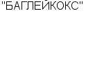 "БАГЛЕЙКОКС" ОАО : Адрес Официальный сайт Телефоны | "БАГЛЕЙКОКС" : работа, новые вакансии | купить недорого дешево цена / продать фото